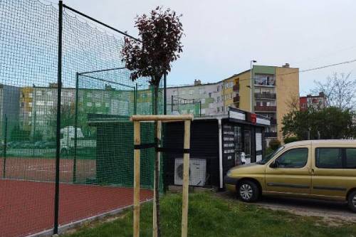 Realizacje 2024