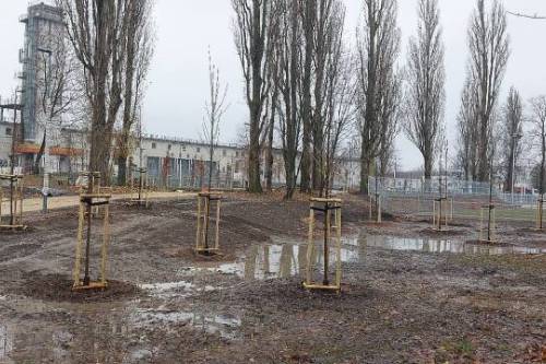 Realizacje 2024
