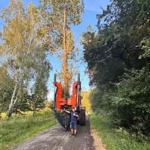 przesadzanie-duzych-drzew