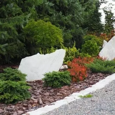 Zakładanie ogrodów | Pielęgnacja ogrodów i usługi ogrodnicze