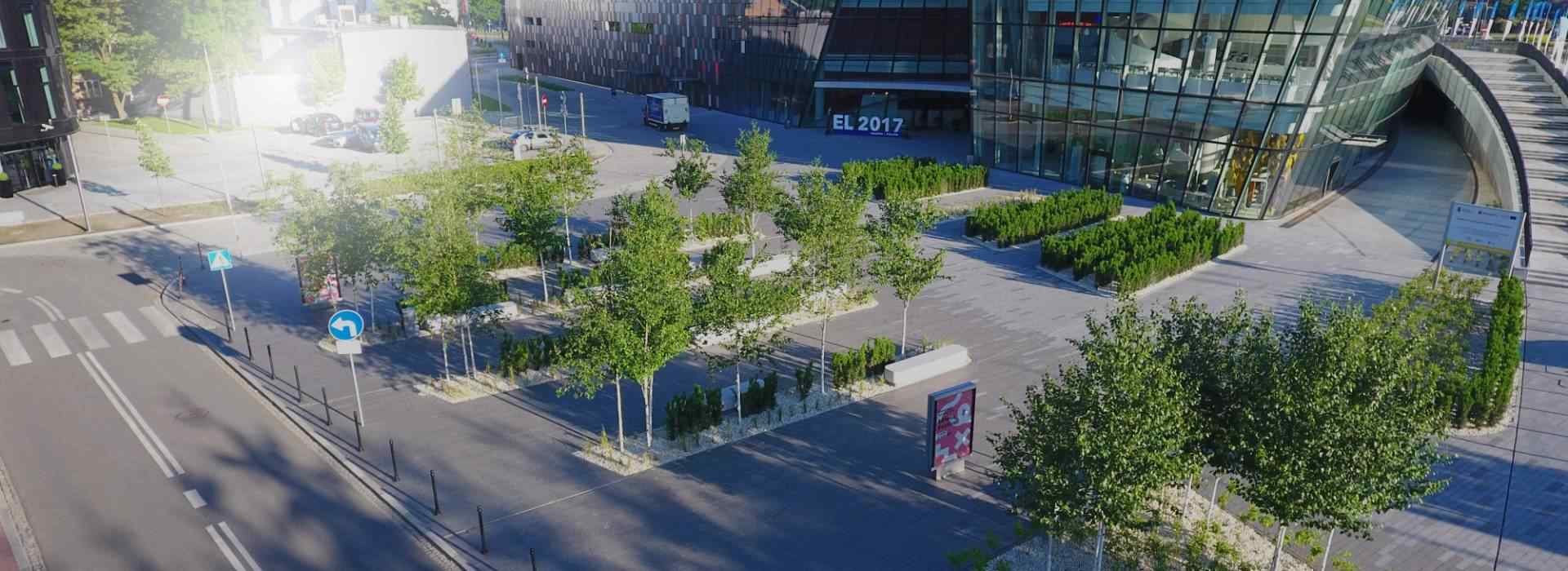 parking z drzewami